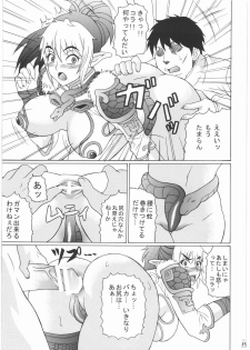 (C72) [Tsurikichi Doumei (Hiraizumi Kou)] Moshimo Echidna to Okarerunaraba (Queen's Blade) - page 18