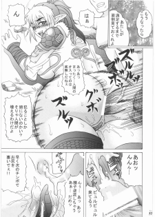 (C72) [Tsurikichi Doumei (Hiraizumi Kou)] Moshimo Echidna to Okarerunaraba (Queen's Blade) - page 20