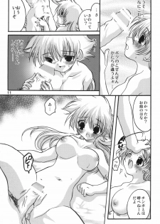 (C66) [Inishie no Nushi (Silhouette Sakura)] Jumon ga Chigaimasu (Dragon Quest II) - page 10