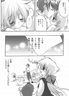 (C66) [Inishie no Nushi (Silhouette Sakura)] Jumon ga Chigaimasu (Dragon Quest II) - page 23