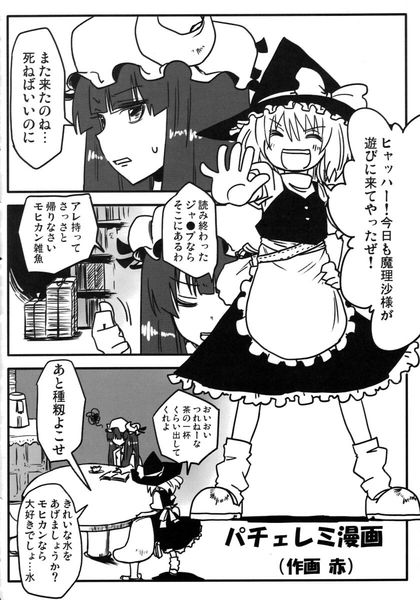 (C77) [Feriko Misshitsu (Feriko, Ponkichi, Seki)] Aitsu o Otose! (Touhou Project) page 23 full