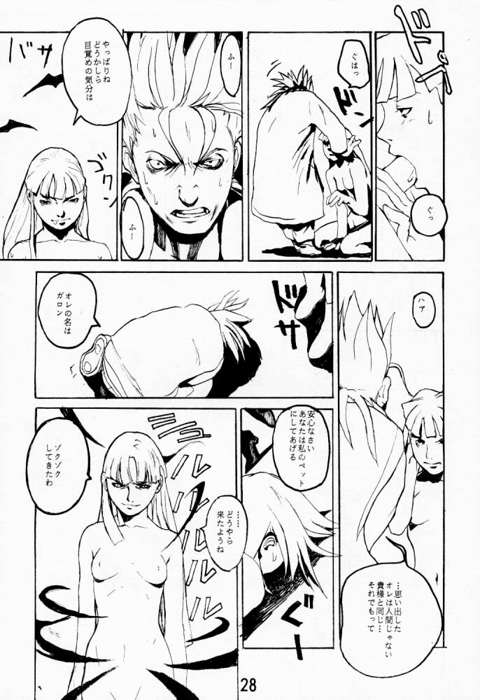 (C53) [Konohanatei (Furuido Keiichi, Nadeara Bukichi, Takao Ukyou)] Blood Stewpan (Rival Schools / Shiritsu Justice Gakuen, Vampire Savior / Darkstalkers) page 27 full