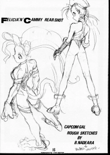 (C53) [Konohanatei (Furuido Keiichi, Nadeara Bukichi, Takao Ukyou)] Blood Stewpan (Rival Schools / Shiritsu Justice Gakuen, Vampire Savior / Darkstalkers) - page 15