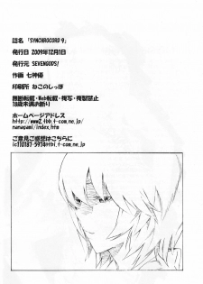 (C77) [Seven Gods! (Nanagami Yuu)] Synchrocord 9 (Neon Genesis Evangelion) - page 38