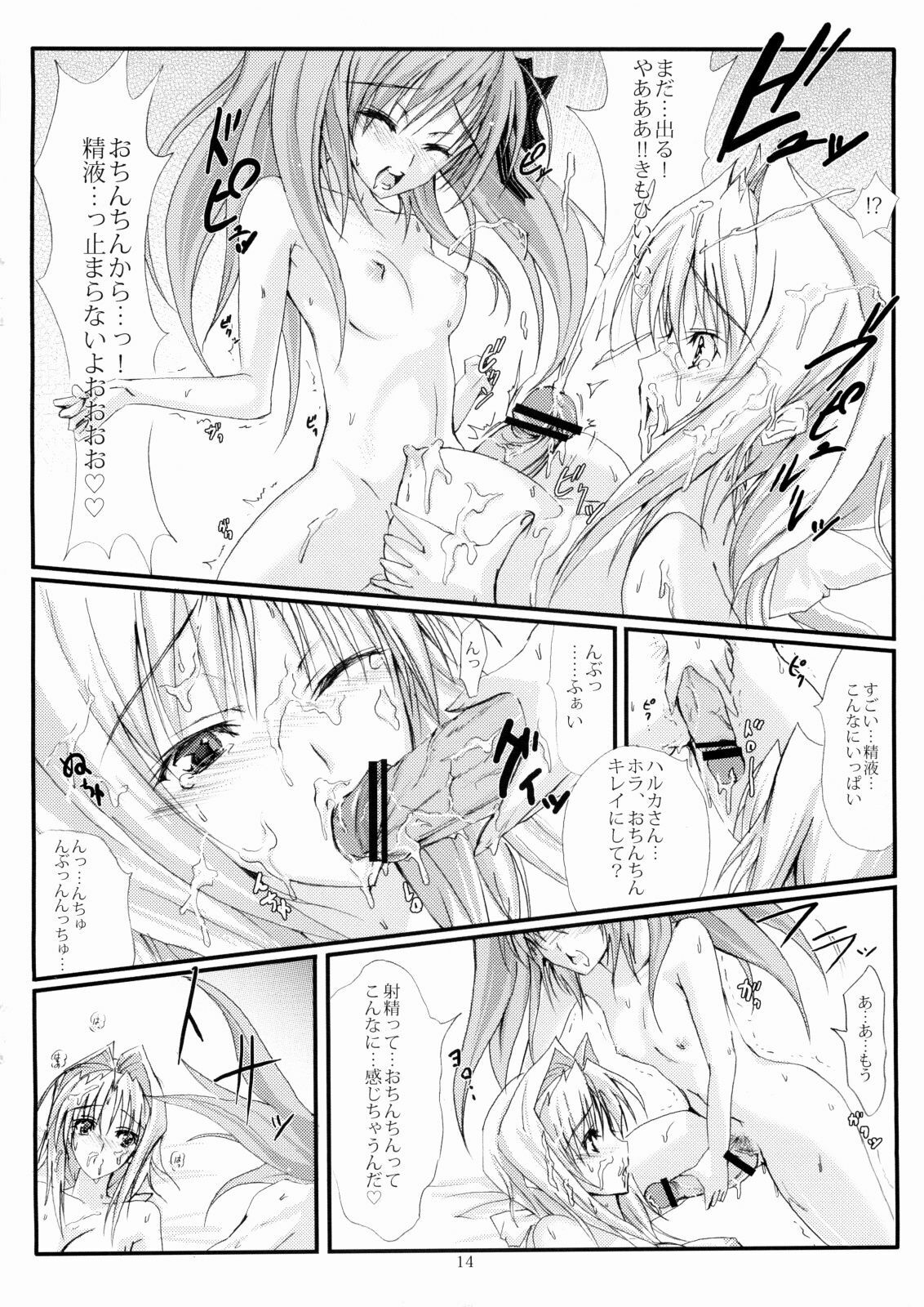 (C74) [Veronica no Ha (Noba)] Juugen no Tsuki no Izuru Yami (Beat Blades Haruka) page 13 full