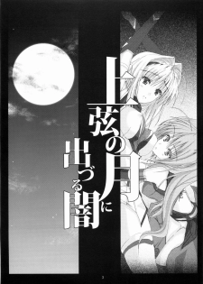(C74) [Veronica no Ha (Noba)] Juugen no Tsuki no Izuru Yami (Beat Blades Haruka) - page 2