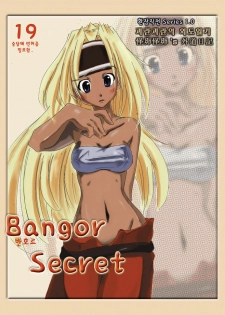 Bangor Secret (Mabinogi) [Korean] - page 1