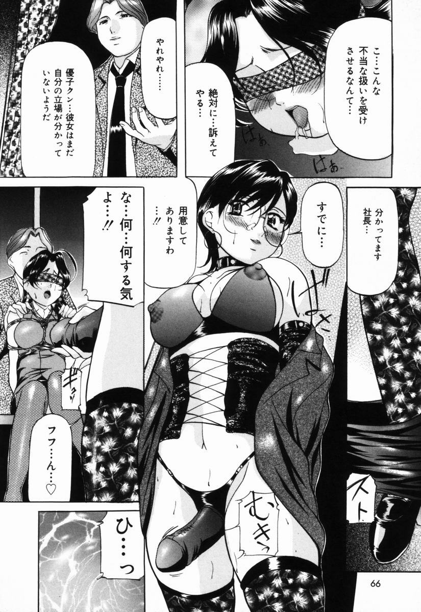 [Onihime] Aigan Hakusho (Love Toy White Paper) page 65 full