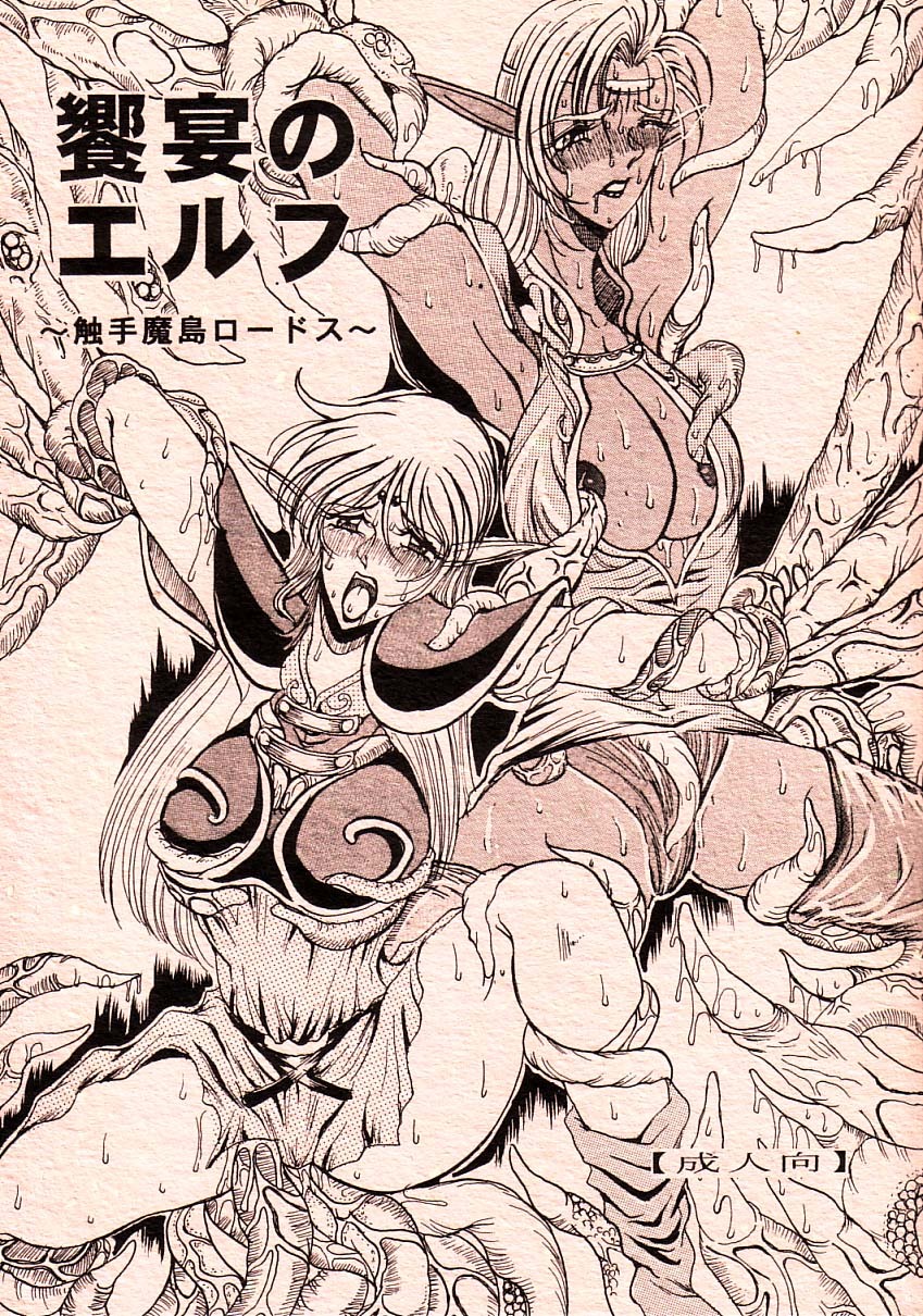 (C66) [WHITE ELEPHANT (Mizukami Yuuki)] Kyouen no Elf ~Shokushu Mashima Lodoss~ (Record of Lodoss War) page 1 full