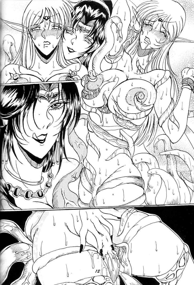 (C66) [WHITE ELEPHANT (Mizukami Yuuki)] Kyouen no Elf ~Shokushu Mashima Lodoss~ (Record of Lodoss War) page 11 full