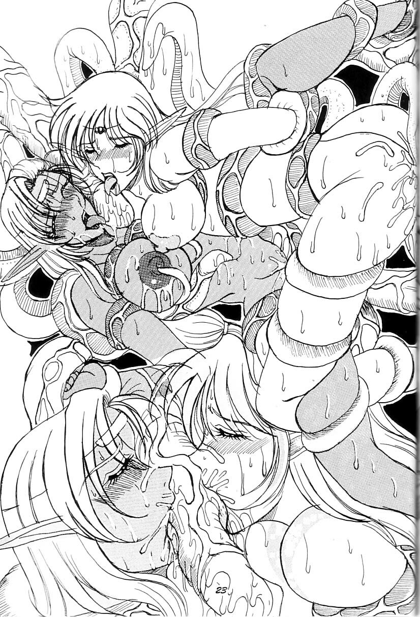 (C66) [WHITE ELEPHANT (Mizukami Yuuki)] Kyouen no Elf ~Shokushu Mashima Lodoss~ (Record of Lodoss War) page 22 full