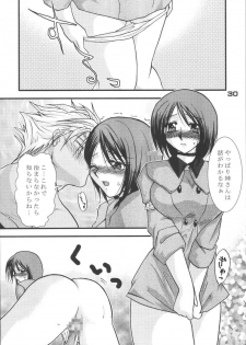 (C67) [KKI (Kogma Pierre)] Tokihanatsu × Tokihanate (King of Fighters) - page 29