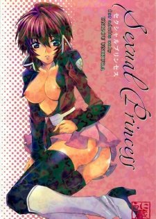 (ComiChara 2) [Unizo (Unikura)] SexualPrincess (Gundam SEED DESTINY) - page 1
