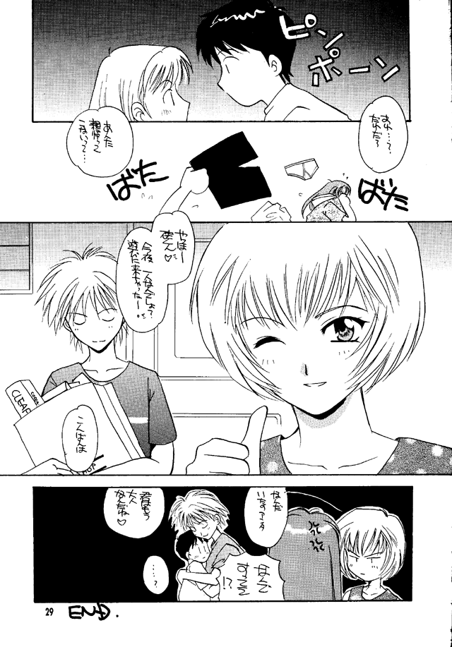 (C50) [Takara no Suzunari (Kouno Yukiyo)] Shifuku No Kusari (Neon Genesis Evangelion) page 28 full