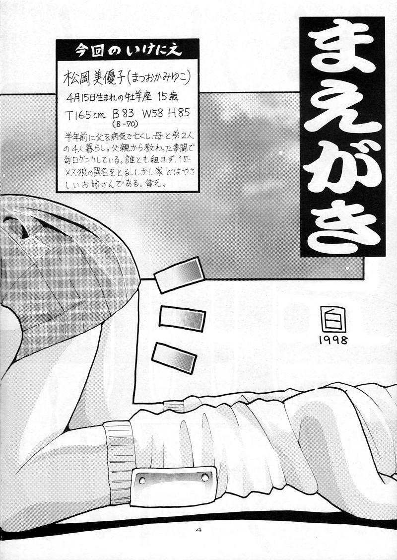 [Hakuhakukan (Haku)] Bishoujo Kankin File III page 5 full