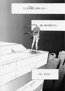 [Shibarism (Shibari Kana)] DA3 (Dead or Alive) - page 40