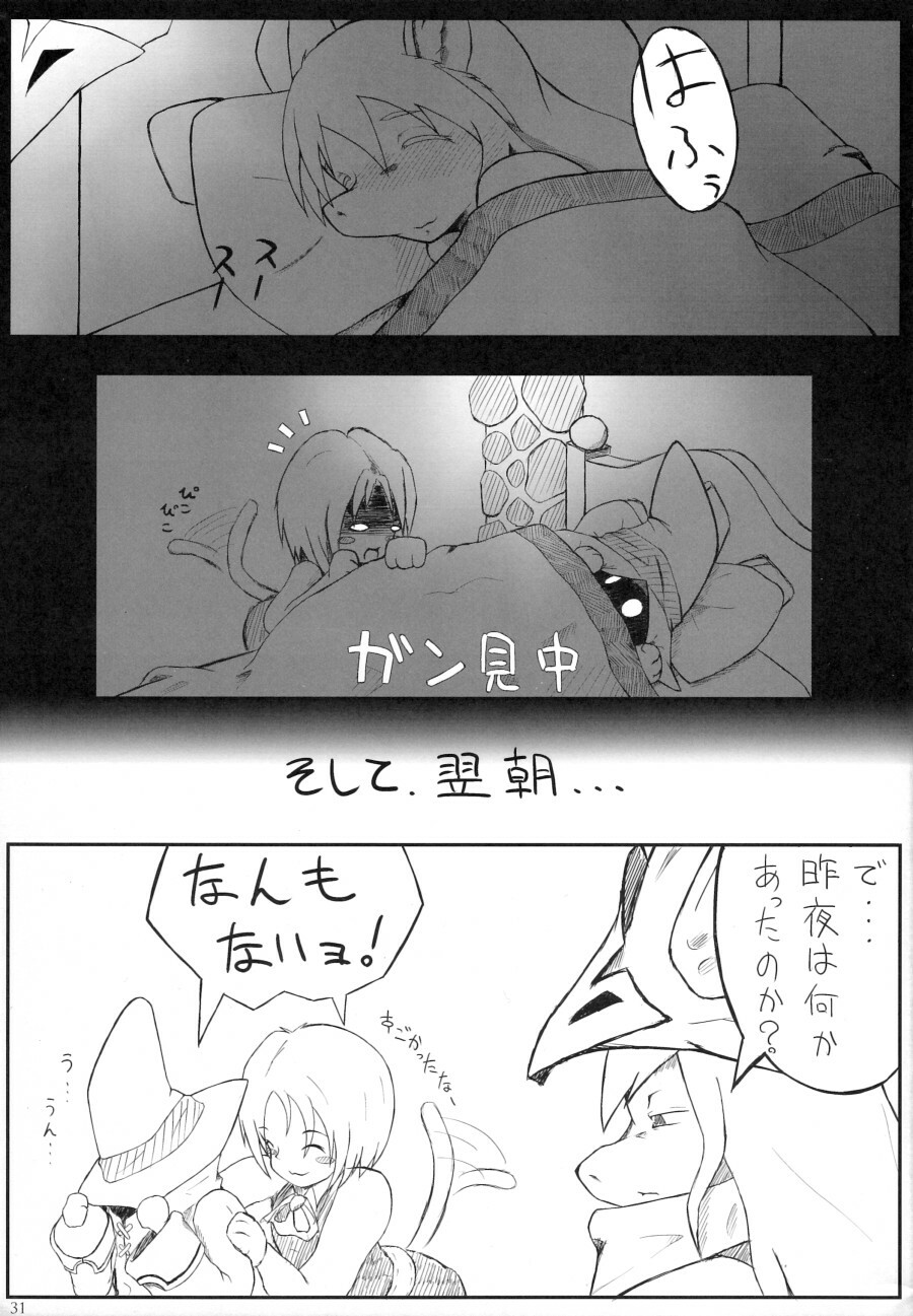 (C77) [EIXIN'S DRAWER (Various)] Minna no Freija Crescent (Final Fantasy IX) page 30 full