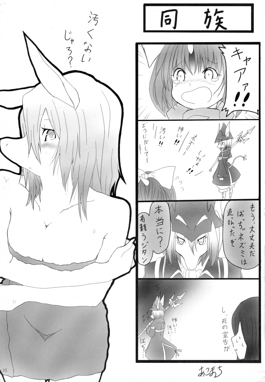 (C77) [EIXIN'S DRAWER (Various)] Minna no Freija Crescent (Final Fantasy IX) page 34 full