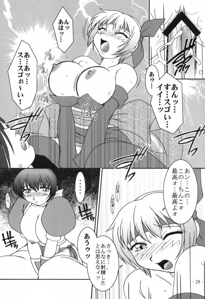 (C59) [KENIX (Ninnin!)] Hanagasumi (Dead or Alive) page 28 full