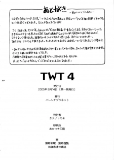 (C68) [Hallenchi Planet (Tateno Tomoki)] TWT 4 (Dragon Quest VIII) - page 29
