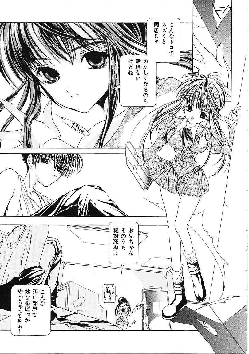 [Karino Hasumi] D page 56 full