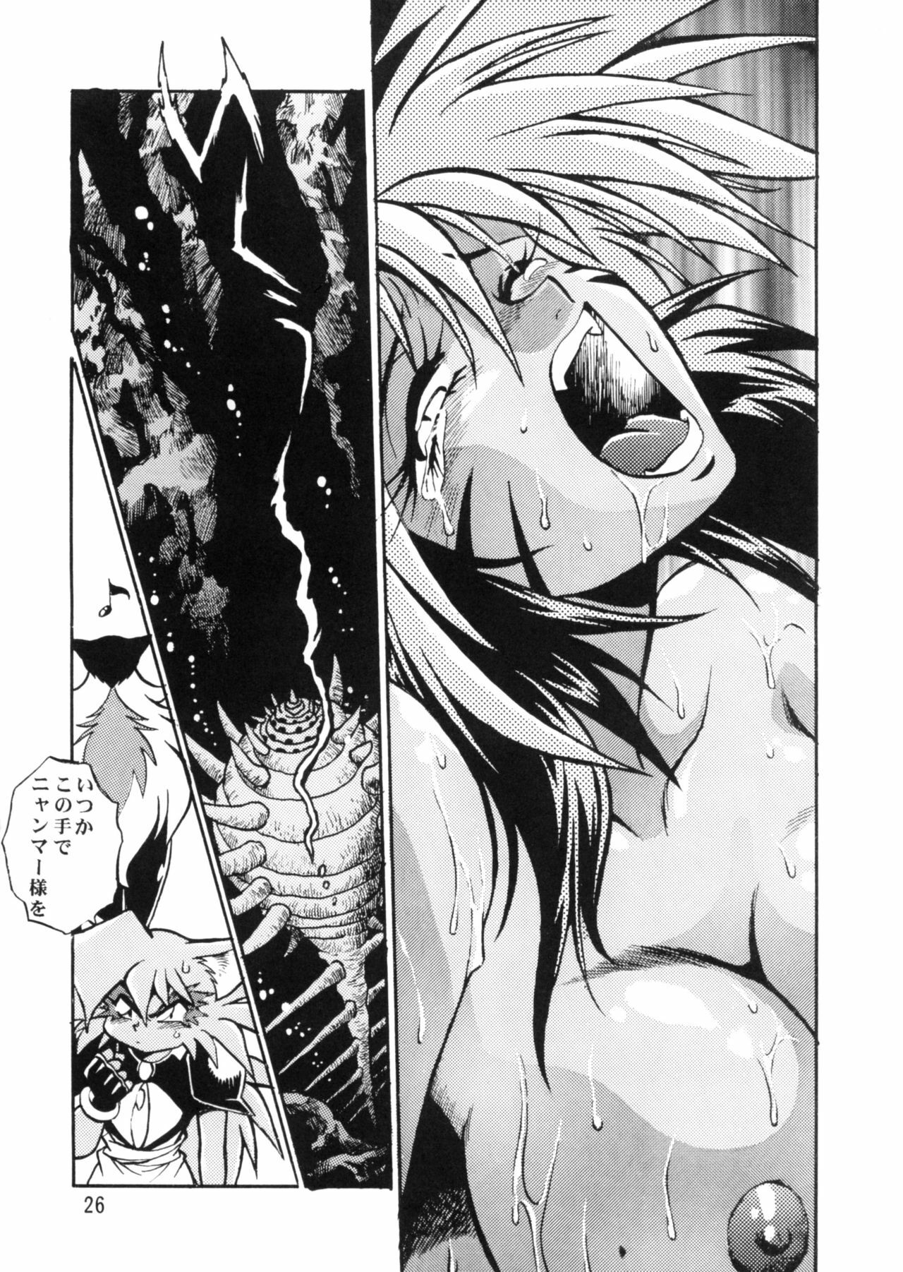 (C57) [Studio Katsudon (Manabe Jouji)] HELP ME Nyanmar-sama vol.2 (Juuni Senshi Bakuretsu Eto Ranger) page 25 full