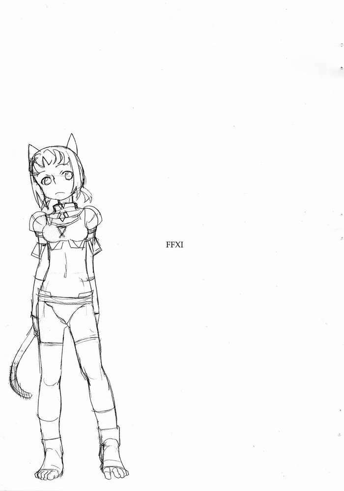 (C65) [Metaderittsu (Tomoe Tenbu)] FFXI page 1 full