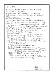 (SC46) [King Revolver (Kikuta Kouji)] Shen Gao Gao (Monster Hunter) - page 28