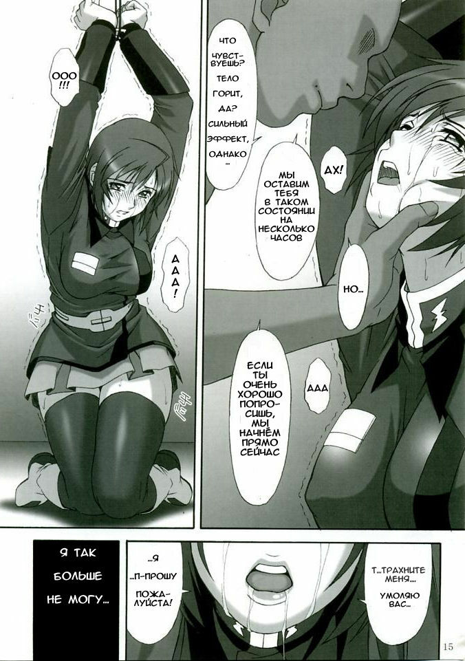 (C68) [AKKAN-Bi PROJECT (Yanagi Hirohiko)] RED BRAVO (Gundam SEED DESTINY) [Russian] [Aellen] [Decensored] page 14 full