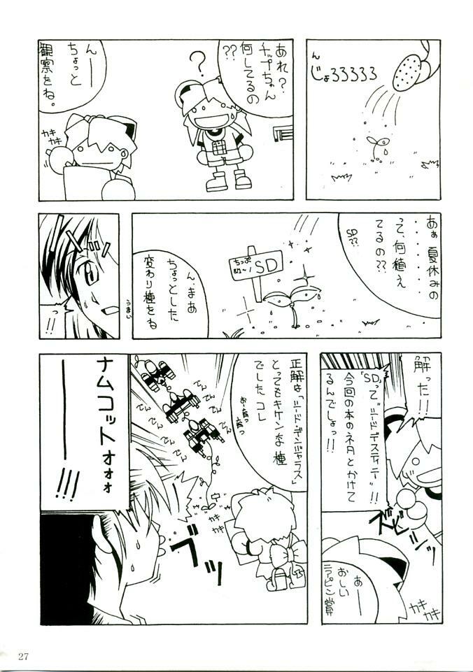 (C68) [AKKAN-Bi PROJECT (Yanagi Hirohiko)] RED BRAVO (Gundam SEED DESTINY) [Russian] [Aellen] [Decensored] page 26 full
