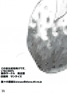 (SC21) [Okina Keikaku (Shiwasu no Okina)] Ichigo 800% (Ichigo 100%) - page 29