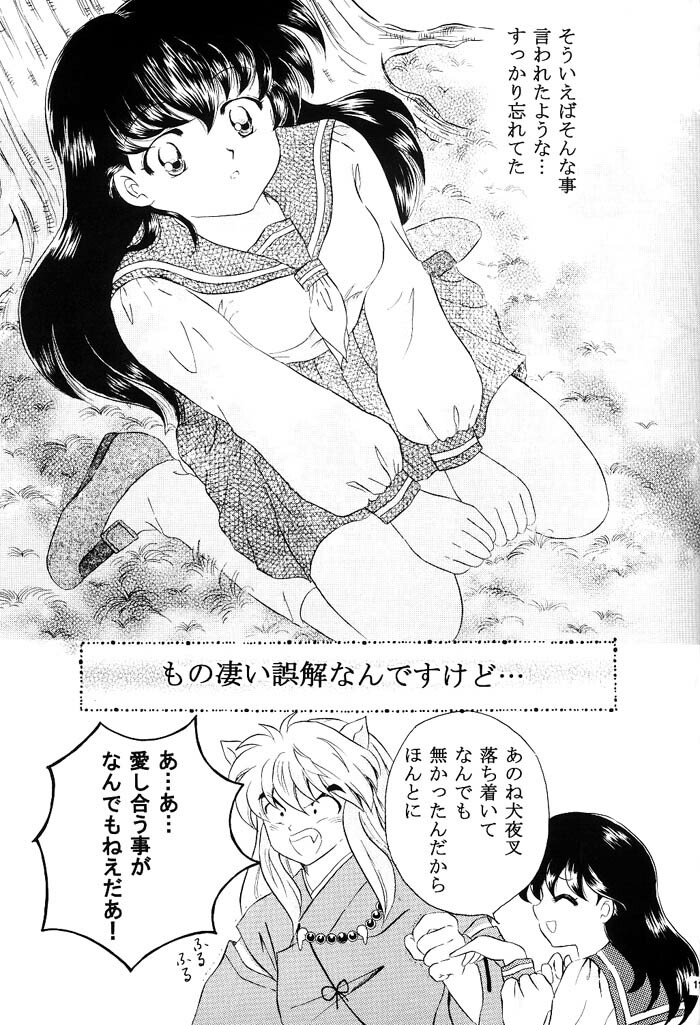 [Hanasarasa (Kureha Utsuki)] Biidoro Roman (Sengoku Otogizoushi Inuyasha) page 10 full