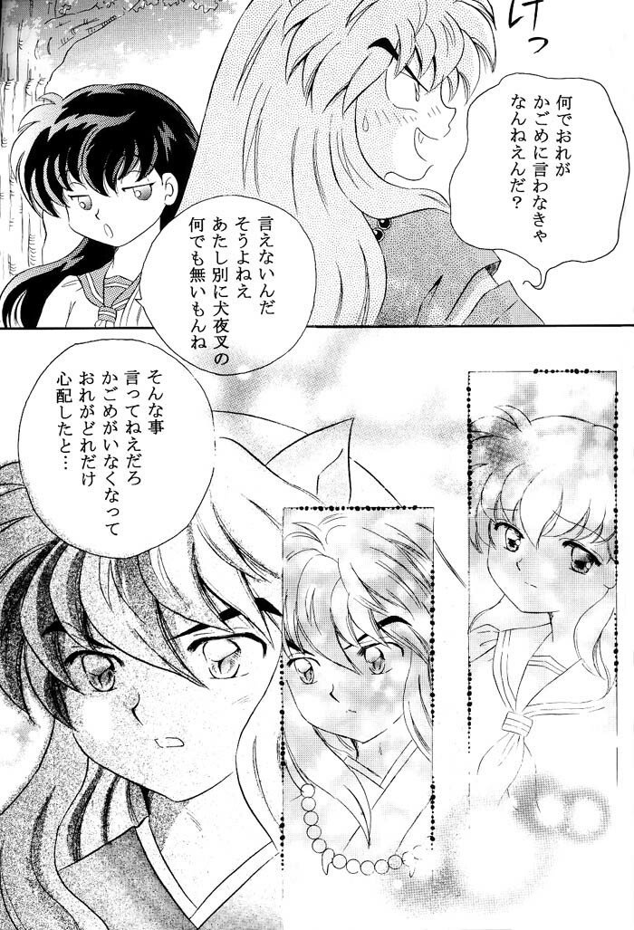 [Hanasarasa (Kureha Utsuki)] Biidoro Roman (Sengoku Otogizoushi Inuyasha) page 12 full