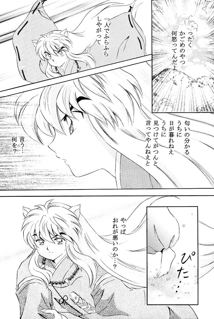 [Hanasarasa (Kureha Utsuki)] Biidoro Roman (Sengoku Otogizoushi Inuyasha) page 17 full