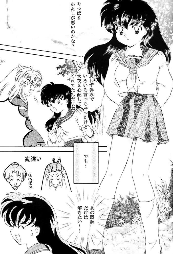 [Hanasarasa (Kureha Utsuki)] Biidoro Roman (Sengoku Otogizoushi Inuyasha) page 18 full