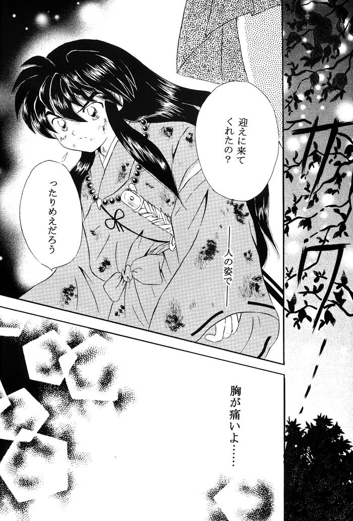 [Hanasarasa (Kureha Utsuki)] Biidoro Roman (Sengoku Otogizoushi Inuyasha) page 29 full