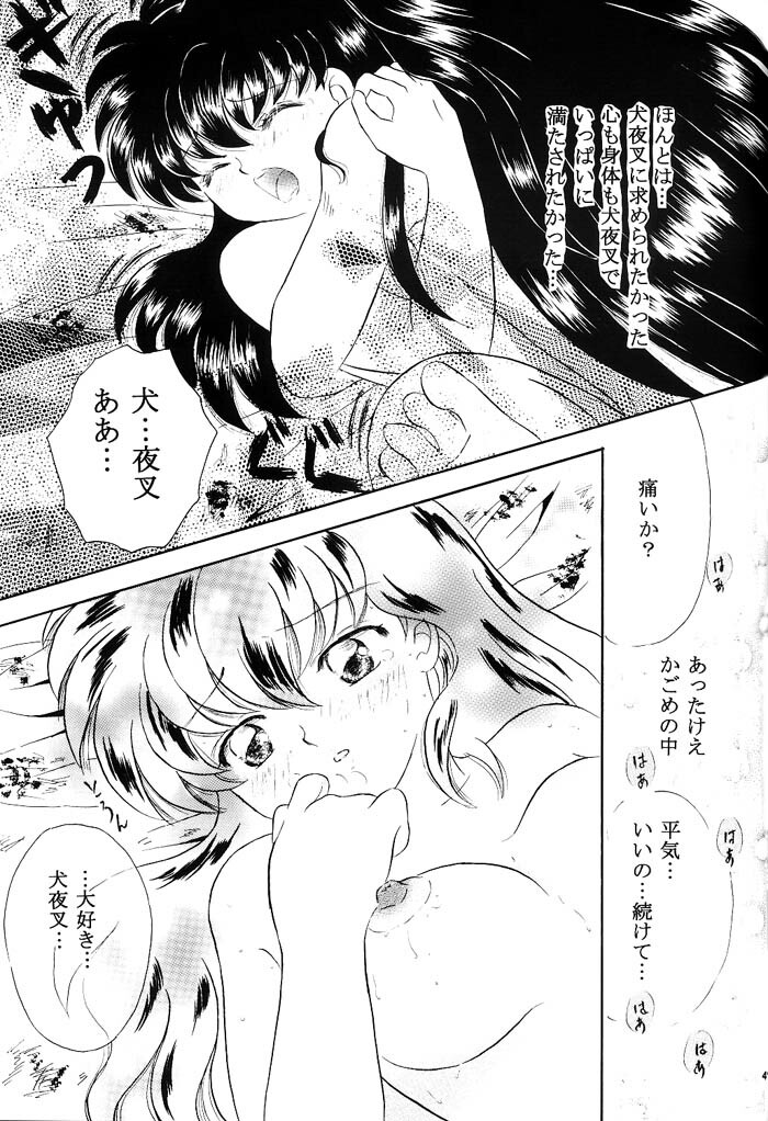 [Hanasarasa (Kureha Utsuki)] Biidoro Roman (Sengoku Otogizoushi Inuyasha) page 46 full