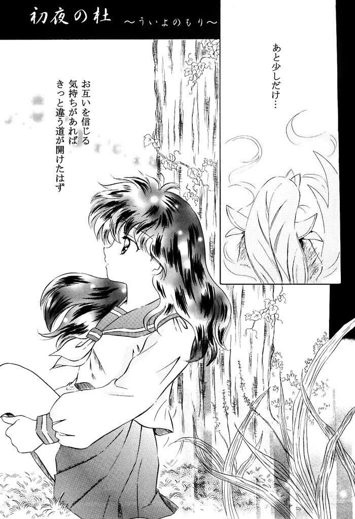 [Hanasarasa (Kureha Utsuki)] Biidoro Roman (Sengoku Otogizoushi Inuyasha) page 5 full