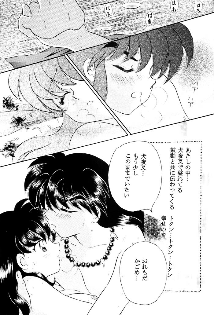 [Hanasarasa (Kureha Utsuki)] Biidoro Roman (Sengoku Otogizoushi Inuyasha) page 52 full