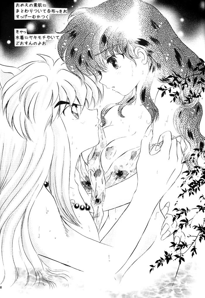 [Hanasarasa (Kureha Utsuki)] Biidoro Roman (Sengoku Otogizoushi Inuyasha) page 59 full