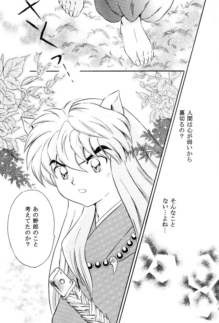 [Hanasarasa (Kureha Utsuki)] Biidoro Roman (Sengoku Otogizoushi Inuyasha) page 6 full