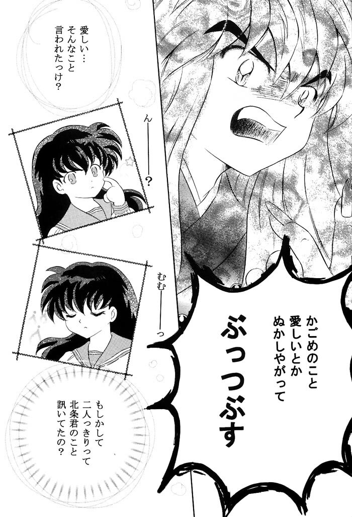 [Hanasarasa (Kureha Utsuki)] Biidoro Roman (Sengoku Otogizoushi Inuyasha) page 9 full