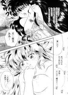 [Hanasarasa (Kureha Utsuki)] Biidoro Roman (Sengoku Otogizoushi Inuyasha) - page 46