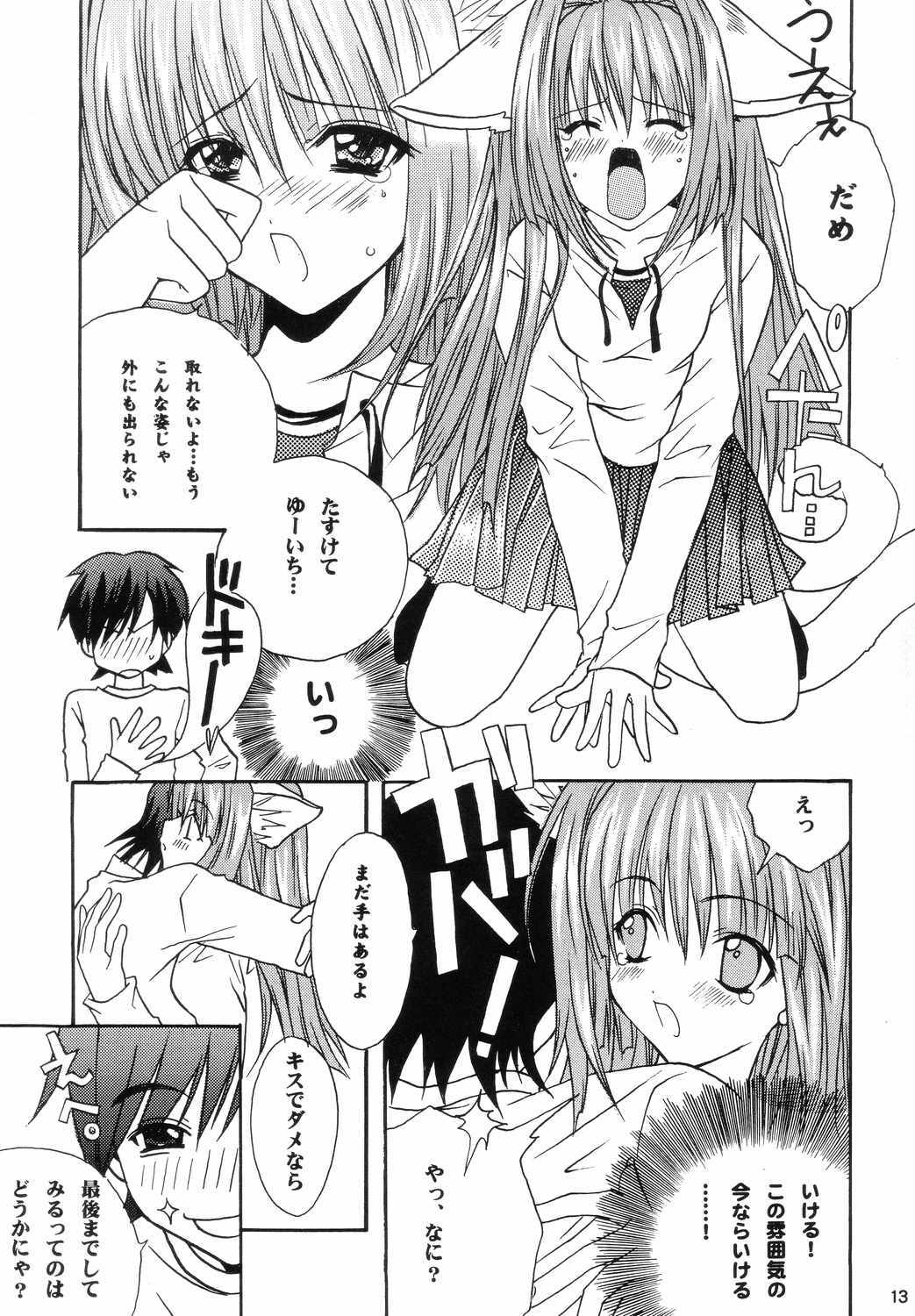 (C66) [M2UNIT (Kashinopon)] Animal Spirits (Kanon) page 12 full