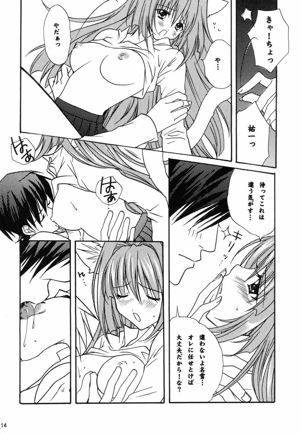 (C66) [M2UNIT (Kashinopon)] Animal Spirits (Kanon) page 13 full