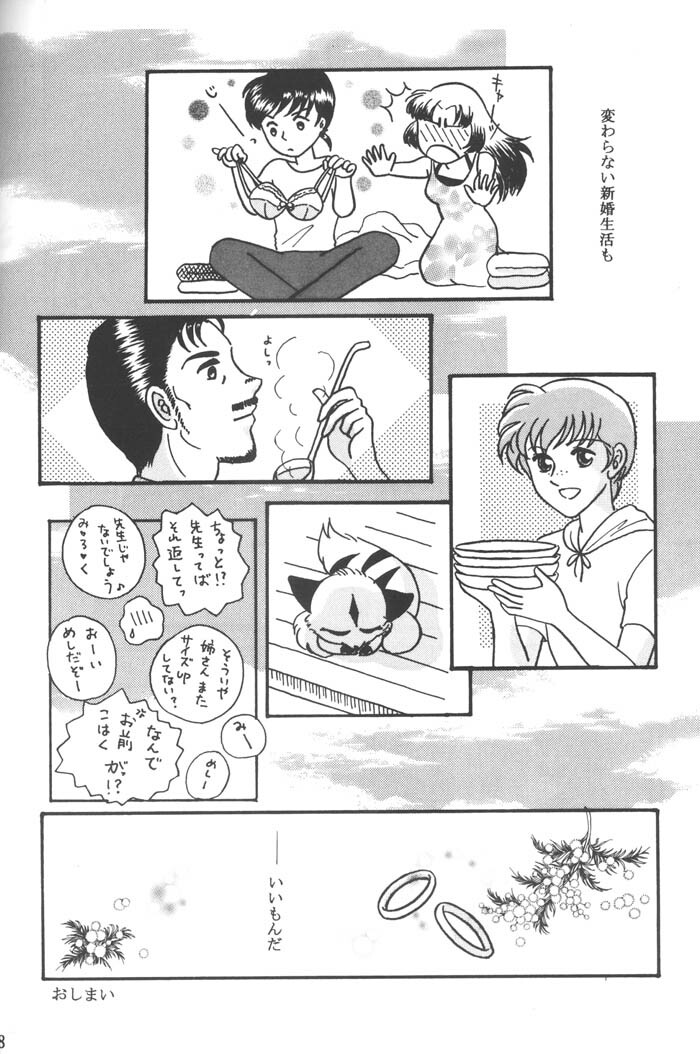 (C64) [Souya (Kotohori Arika)] Ichiban Taisetsu na Hito e (Inuyasha) page 25 full