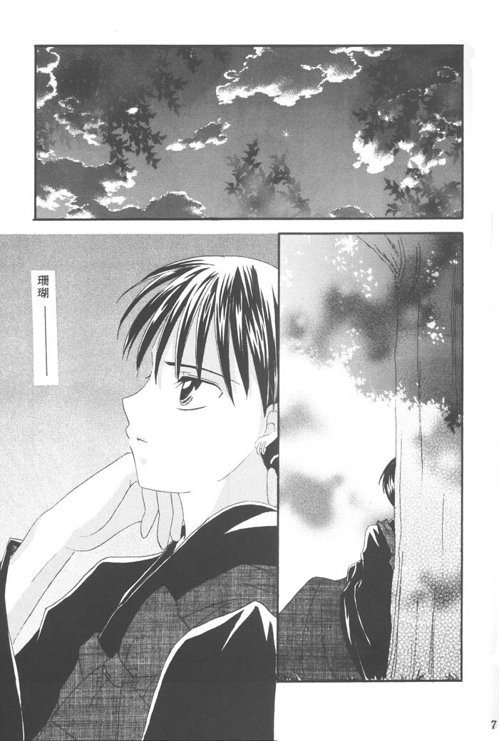 (C64) [Souya (Kotohori Arika)] Ichiban Taisetsu na Hito e (Inuyasha) page 5 full
