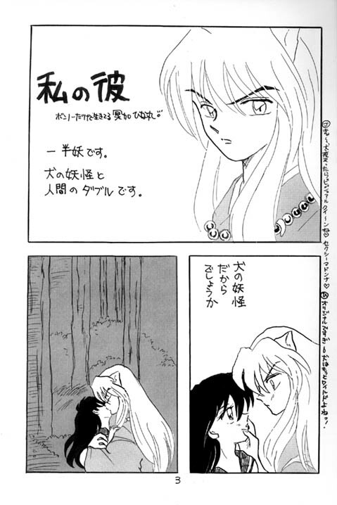 [Kinohajo (Kinoha Hinami)] Shiro (Sengoku Otogizoushi Inuyasha) page 3 full