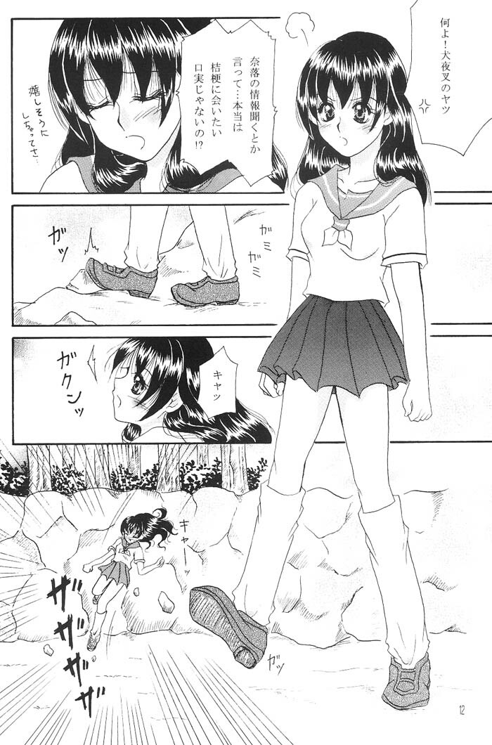 (C66) [Mafuyu no Taiyou (Sekka Suzuran)] Heart and soul (Inuyasha) page 11 full