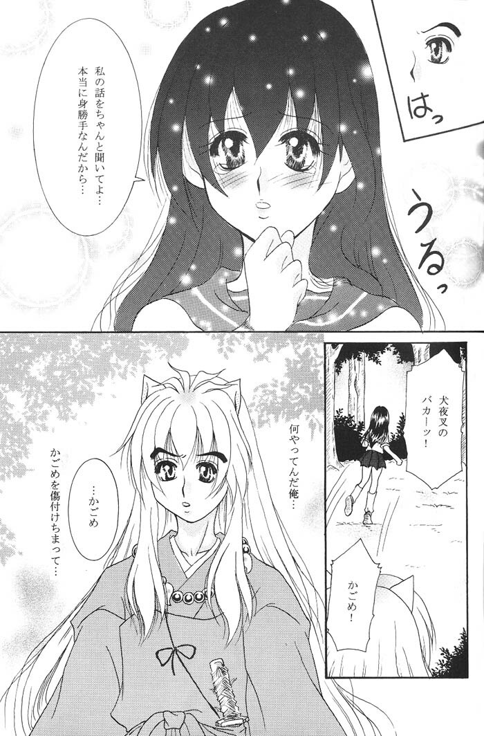 (C66) [Mafuyu no Taiyou (Sekka Suzuran)] Heart and soul (Inuyasha) page 22 full